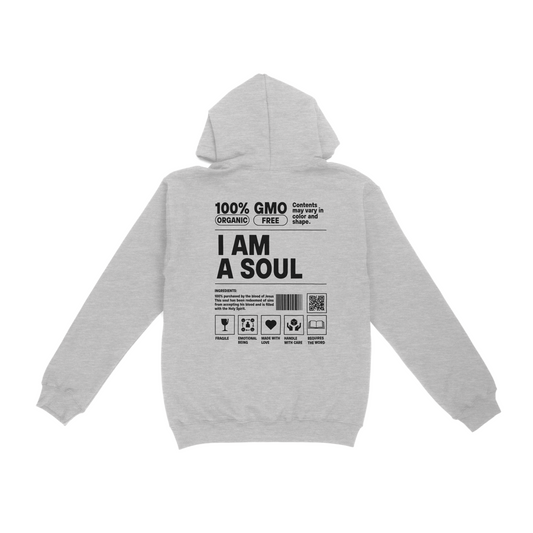 I AM A SOUL PULLOVER SPORTS GREY